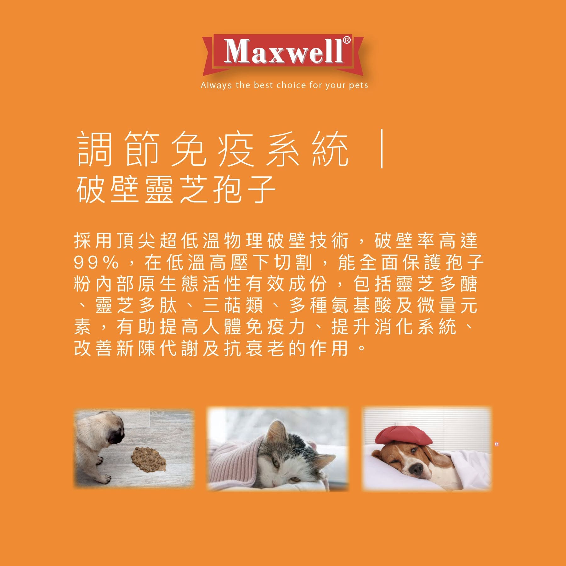 • 產品主打極致純淨的功能性保健，核心研發著重於調節免疫系統｜破壁靈芝孢子。採用頂尖超低溫物理破壁技術，破壁率高達 99%，在低溫高壓下切割，能全面保護孢子粉內部原生態活性有效成份。包含靈芝多醣、靈芝多肽、三萜類、多種氨基酸及微量元素，旨在幫助犬貓提高免疫力、提升消化系統、改善新陳代謝及抗衰老。