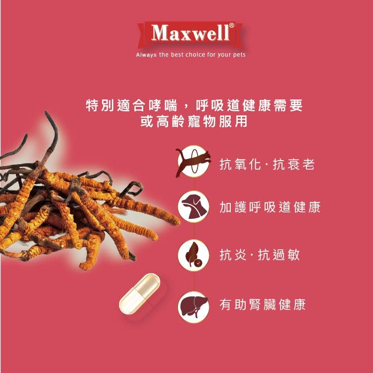 產品主打精準的天然漢方調養，官方明確指出本品特別適合哮喘，呼吸道健康需要或高齡寵物服用。圖中詳細列出產品的四大核心保健防護網：第一，抗氧化・抗衰老，幫助老齡犬貓延緩老化、保持日常活力；第二，加護呼吸道健康，深入舒緩氣管與肺部不適；第三，抗炎・抗過敏，減輕慢性發炎與季節性過敏反應；第四，有助腎臟健康，與呼吸道加護並進，達到中醫「肺腎雙補」的深度調理。