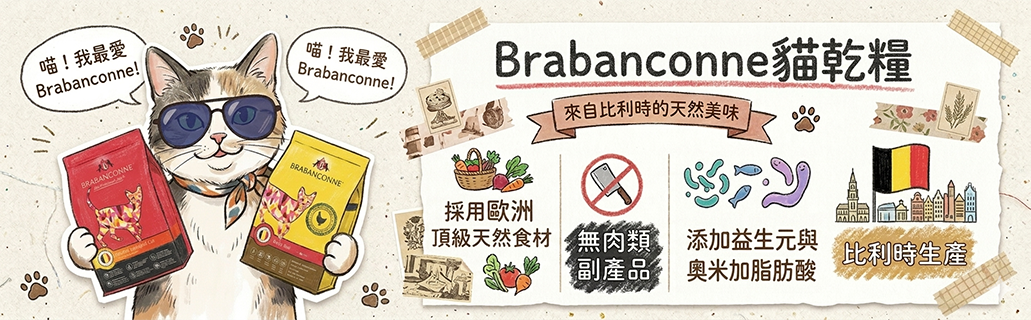 • 產品主打高品質的美食級營養，全面守護貓咪健康。圖片展示了產品的四大核心優勢：第一，採用歐洲頂級天然食材，提供最純淨的營養來源；第二，堅持無肉類副產品，拒絕劣質廢肉，成分透明安心；第三，特別添加益生元與奧米加脂肪酸（Omega 脂肪酸），能同時呵護貓咪的敏感腸胃，並滋養皮膚讓毛髮亮麗；第四，保證 比利時生產，原裝進口符合歐洲高規格安全標準，是讓主子餐餐清盤的健康新選擇。