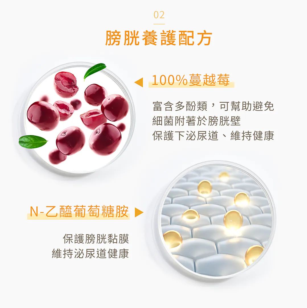 核心優勢 02:專業膀胱養護配方,100% 蔓越莓 ✕ N-乙醯葡萄糖胺 雙效保護下泌尿道!添加富含多酚類的 100% 蔓越莓,幫助避免細菌附著於膀胱壁;搭配 N-乙醯葡萄糖胺(NAG)修復並保護膀胱黏膜,建立穩固防護屏障,維持泌尿道健康。