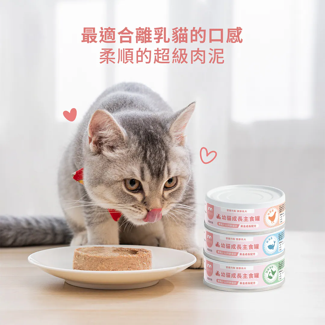 核心優勢 04:最適合離乳貓的口感,柔順的超級肉泥質地 貼心呵護幼貓腸胃!專為 2-12 個月齡舔食設計,調配出極致柔順的超級肉泥(細緻慕斯)質地。不僅能幫助離乳期小小貓輕鬆順利換食,更能大幅提升營養吸收率,讓貓咪愛不釋口。