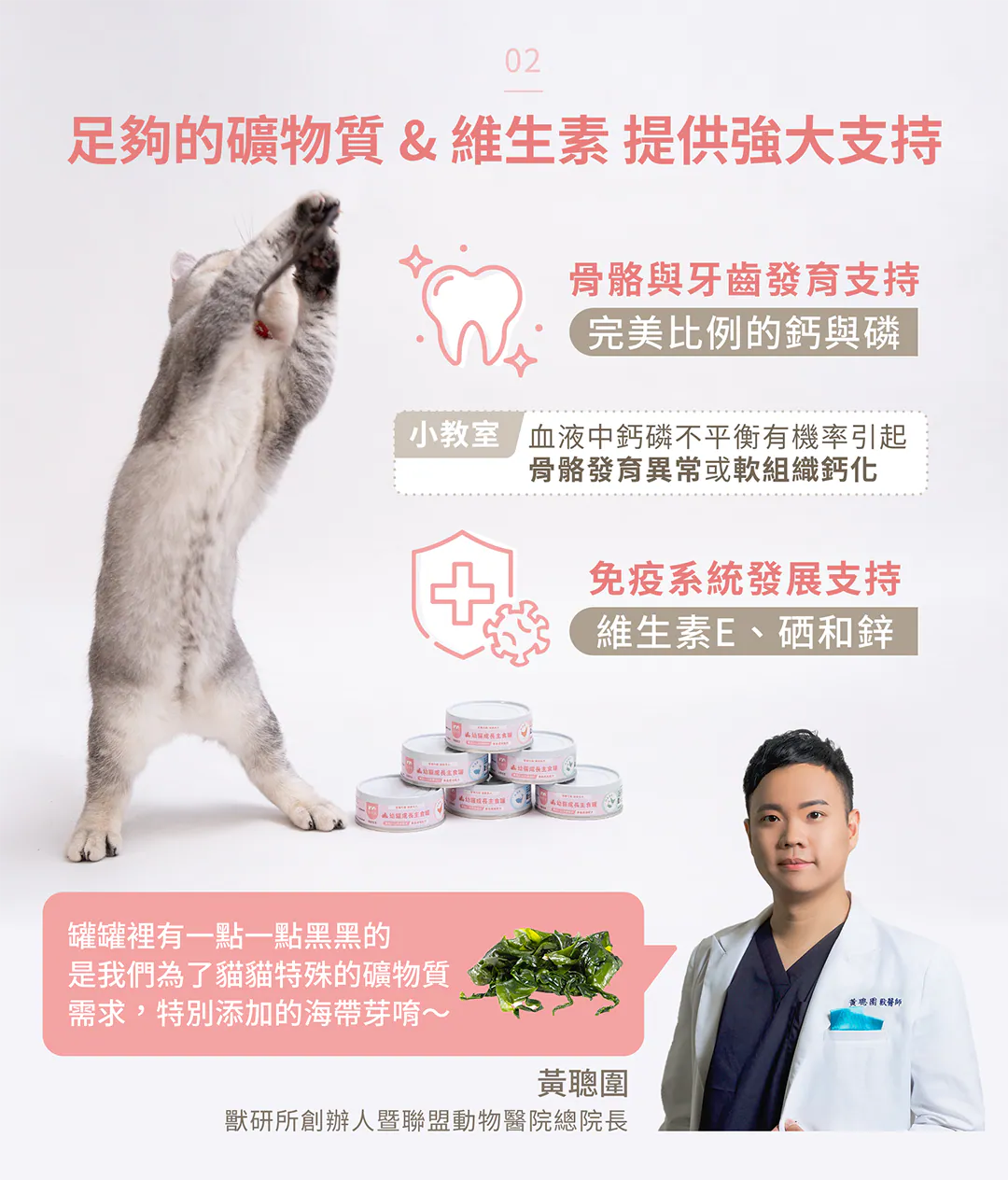 核心優勢 02:足夠的礦物質 & 維生素,為幼貓成長提供強大支持 黃聰圍總院長專業科普!特別調配「完美比例的鈣與磷」強健骨骼與牙齒發育,避免血液鈣磷不平衡引發發育異常;並添加維生素 E、硒和鋅支持免疫系統發展。內含黑點為特別添加的天然海帶芽,請安心餵食。