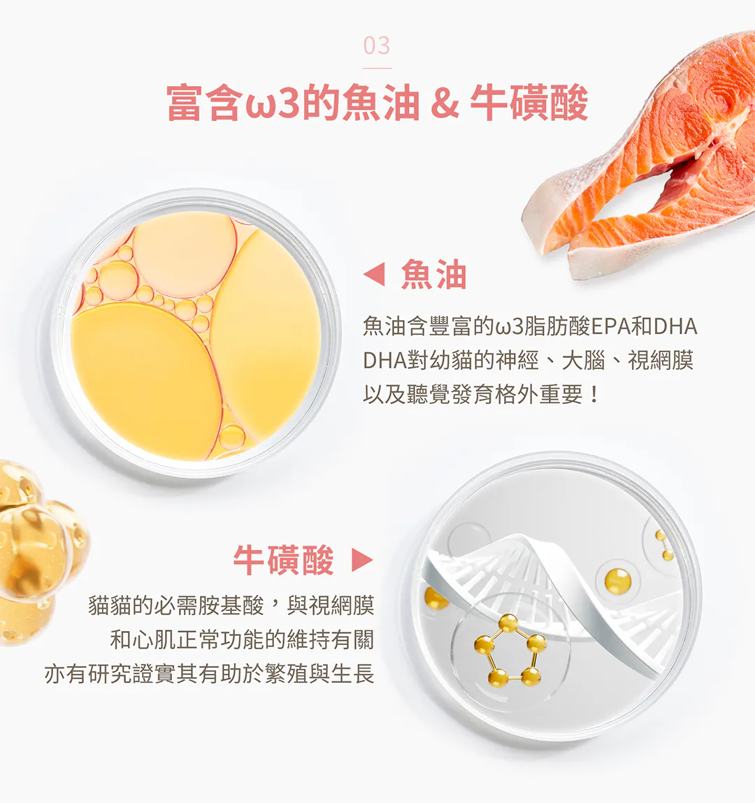 核心優勢 03:富含 ω3 的魚油 & 牛磺酸,全面啟動大腦與視覺發育 黃金期發育雙核心!添加富含 ω3 脂肪酸 EPA 和 DHA 的優質魚油,對幼貓的神經、大腦、視網膜及聽覺發育格外重要;並注入貓咪必需胺基酸——牛磺酸,有效維持視網膜與心肌正常功能,更有助於幼貓生長發育。