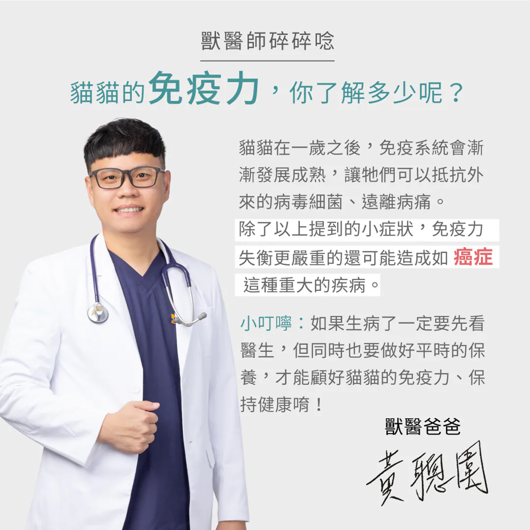 獸醫師碎碎唸:貓貓的免疫力,你了解多少呢? 黃聰圍獸醫師專業小叮嚀!貓咪滿一歲後免疫系統漸趨成熟,但免疫力失衡嚴重時甚至可能引發癌症等重大疾病。除了生病看醫生,平日更要做好食補保養,顧好免疫力才能保持健康。