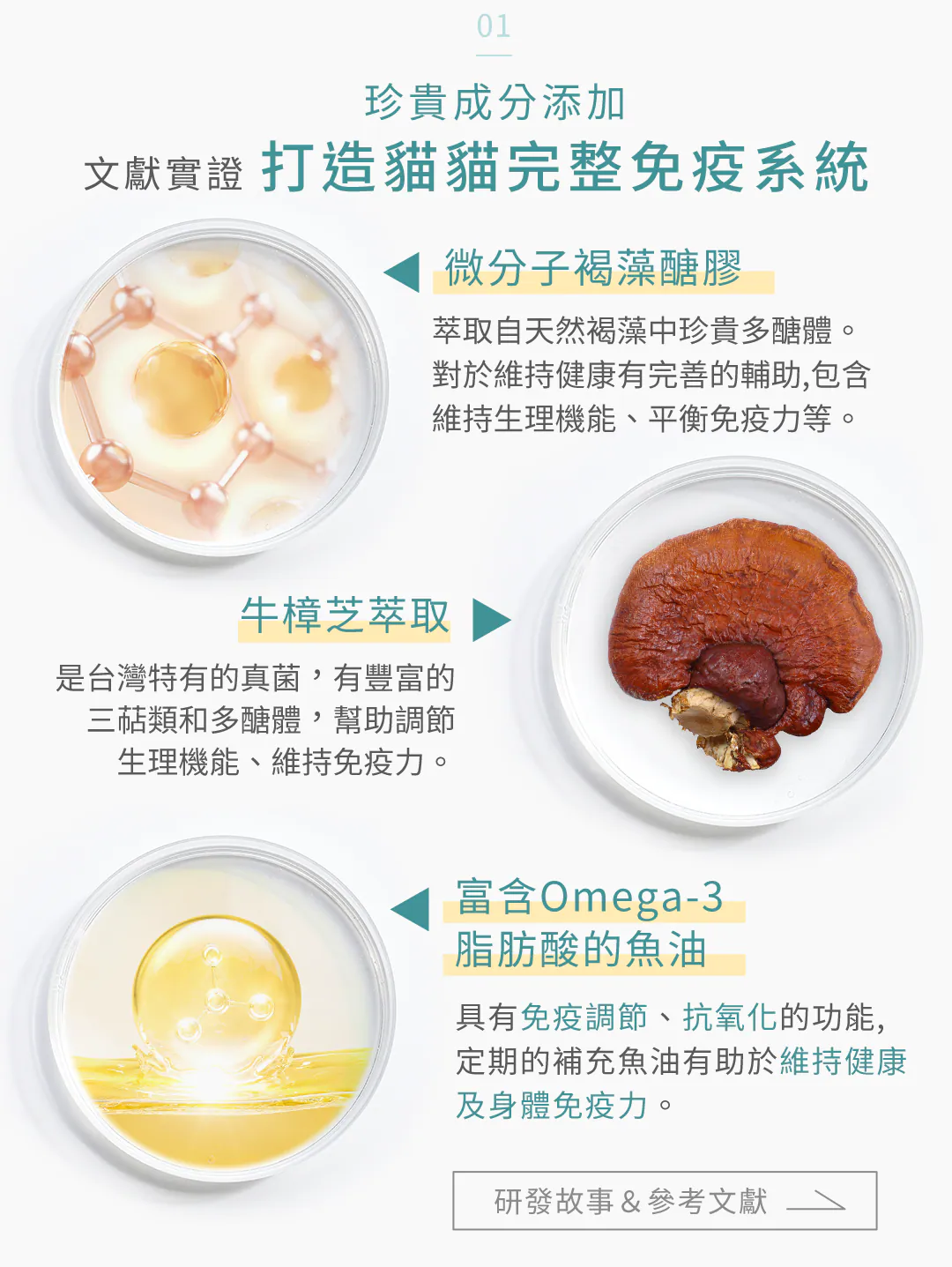 文獻實證三大珍貴成分添加:由內而外打造貓貓完整免疫系統 頂級營養灌注!精選三大機能配方:微分子褐藻醣膠維持生理機能並平衡免疫力;台灣特有牛樟芝萃取幫助調節生理機能;富含 Omega-3 脂肪酸的高優質魚油,定期補充全面抗氧化並維持身體免疫力。