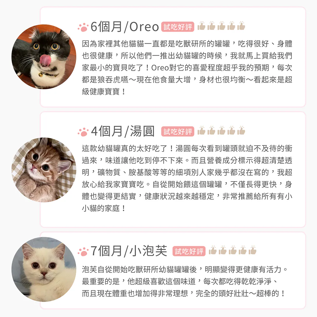 萌貓大口開吃!精選多位幼貓飼主的真實五星好評回饋(飼主試吃好評) 家長感動淚推!精選 4 個月到 7 個月小貓(Oreo、湯圓、小泡芙)的真實體驗。飼主一致讚賞成分標示細緻透明,毛孩每次都狼吞虎嚥、舔盤吃乾淨,幫助發育期小貓體重穩定成長、長得更壯更結實!